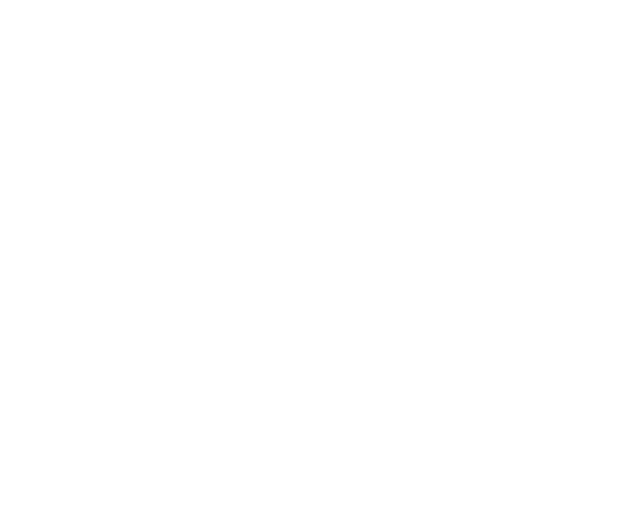 logo light